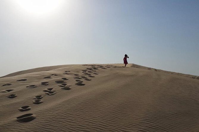 Desert safari, Dune bashing, sandboarding, camel, ATV Option - The Sum Up