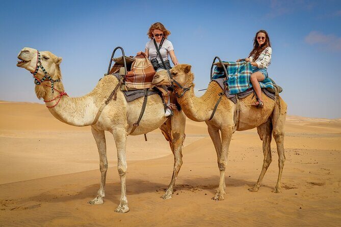 Desert Safari Experience from Dubai - Final Thoughts