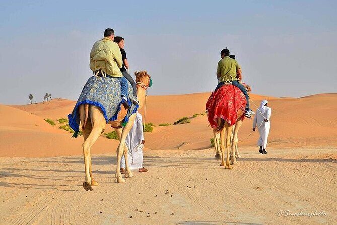 Desert Safari in 4x4 Shared Vehicle VIP Experience - An In-Depth Look at the Desert Safari Experience