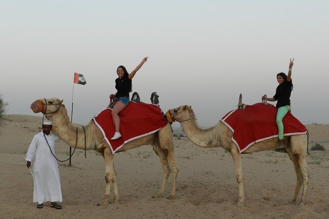 Desert safari in Dubai Red Dunes with BBQ VEG Dinner & Quad Bike - Key Points