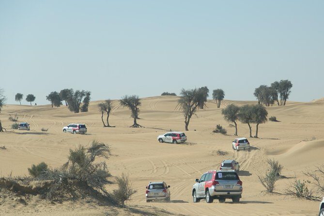 Desert Safari in Dubai with full package - no hidden cost - A Closer Look at the Dubai Desert Safari Full Package