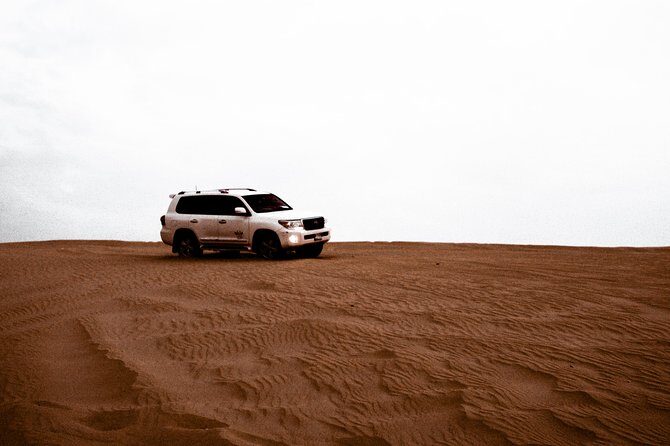 Desert Safari in Dubai with full package - no hidden cost - Who Should Consider This Tour?