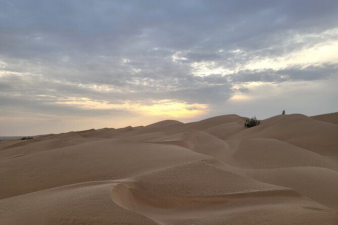 Desert Safari in Empty Quarter with Dune Bashing - FAQ: Your Questions Answered