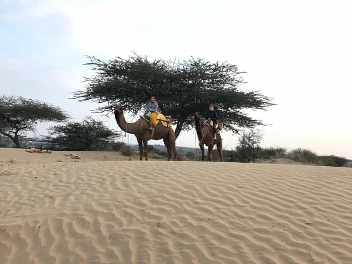 Desert Safari In Jodhpur - Key Points