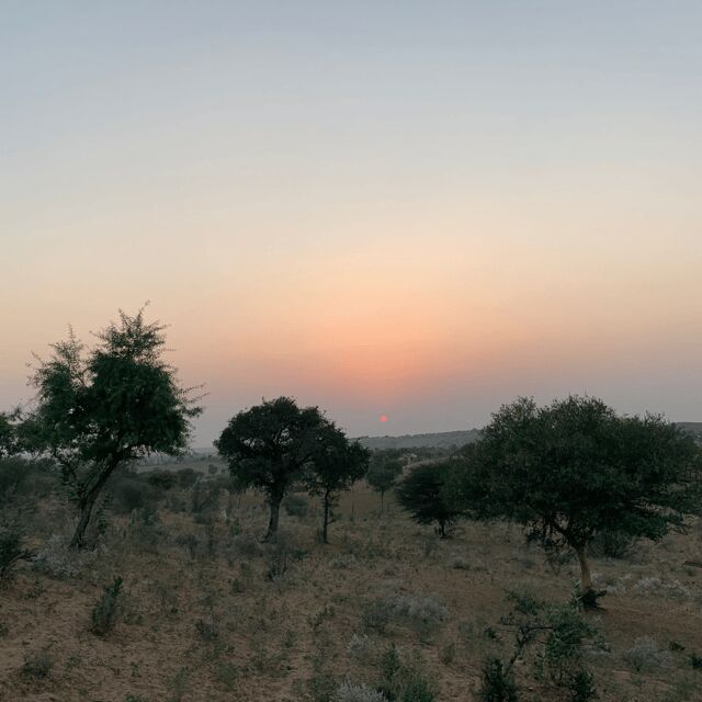 Desert Safari In Jodhpur - Who Should Consider This Tour?
