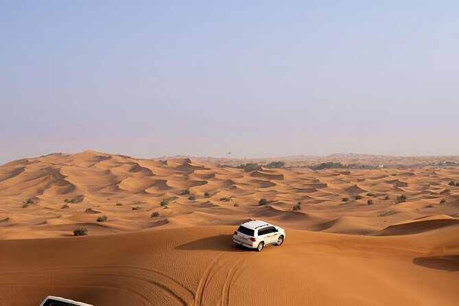 Desert Safari -Live Shows, BBQ Dinner, Dune Bashing and lot more. - What We Loved About This Desert Safari