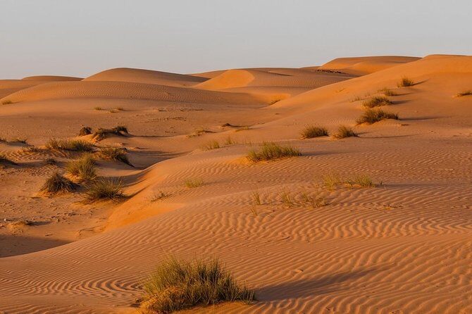 Desert Safari Private - An In-Depth Look at the Experience