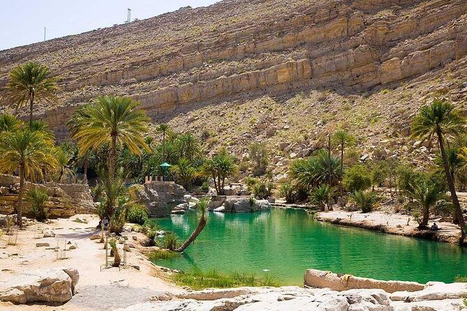 Desert Safari Sharing Tours - Pricing and Value