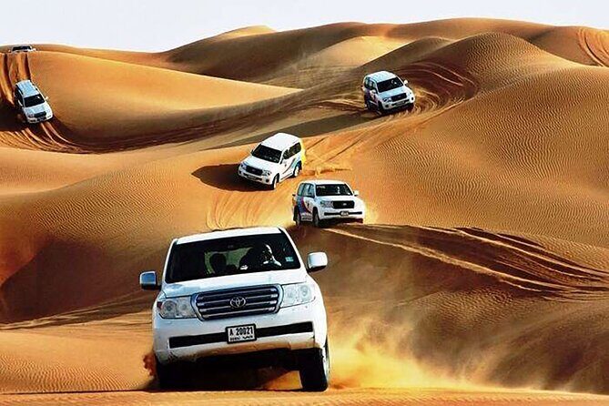 Desert Safari Tour in Dubai (Unique Desert Tourism) - A Closer Look at the Tour Experience