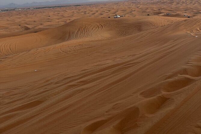 Desert Safari with 30 minutes Buggy Ride with Camel Ride & Dinner - A Closer Look at the Itinerary and Experience