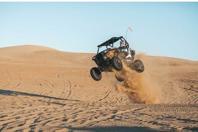 Desert Safari with 30 minutes Buggy Ride with Camel Ride & Dinner - Why the Price is Justified