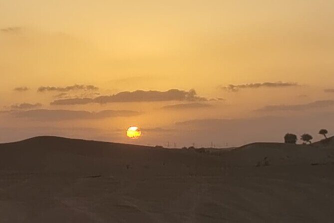 Desert Safari With Bab Al Shams Camp - The Value Proposition