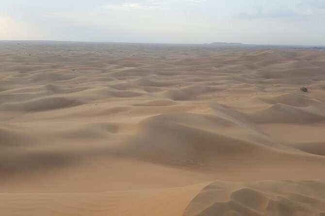 Desert Safari With Bab Al Shams Camp - Final Thoughts