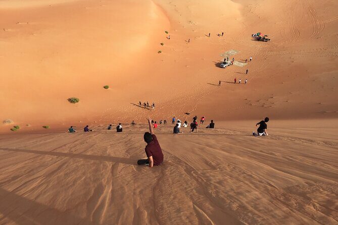 Desert Safari with BBQ Dinner and Camel Ride - The Transportation and Logistics