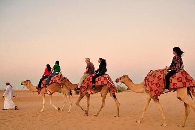 Desert Safari with BBQ Dinner, Camel Ride, Sand Board & Live Show - What Makes This Tour Stand Out?