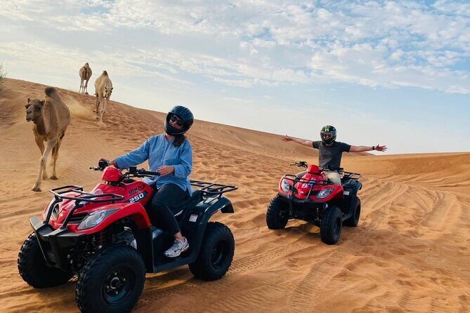 Desert Safari with BBQ Dinner, Camel Ride, Sand Board & Live Show - Final Thoughts