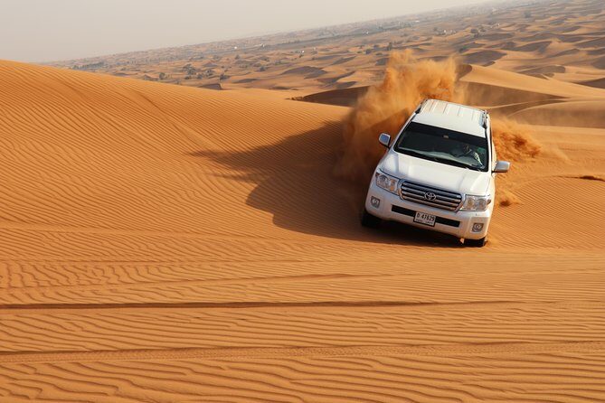 Desert Safari with BBQ Dinner (Sharing/Private) - Final Thoughts