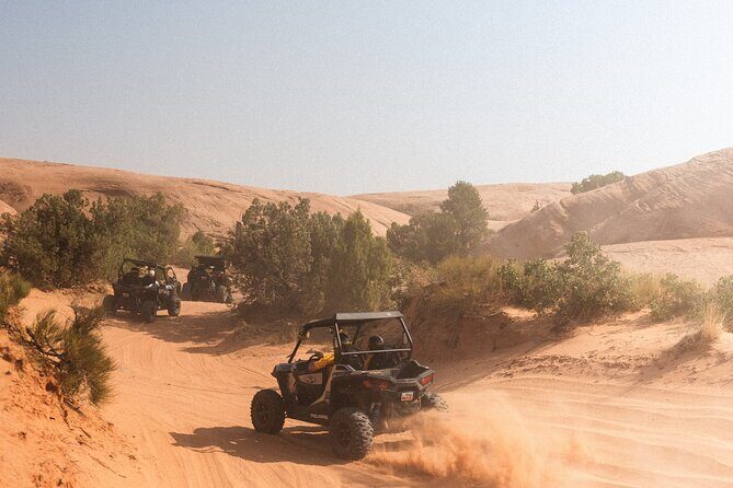 Desert Safari with Camel Ride, BBQ Dinner, Sand Board & Live Show - FAQ