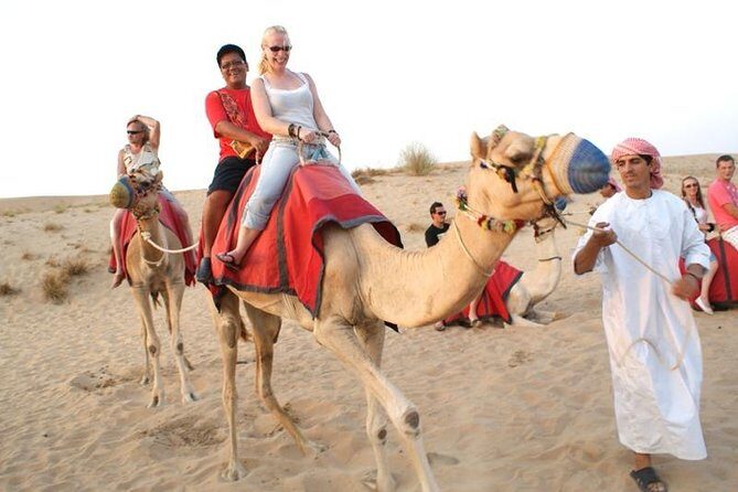 Desert Safari With Camel Ride - An In-Depth Look at the Dubai Desert Safari