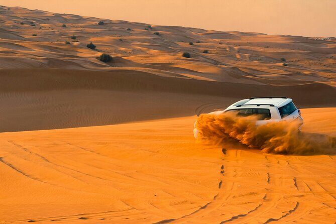 Desert Safari with Camel Riding and BBQ Dinner - Who Will Love This Tour?
