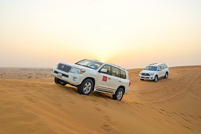Desert Safari with Professional Photography & Videography Tour - The Itinerary in Detail