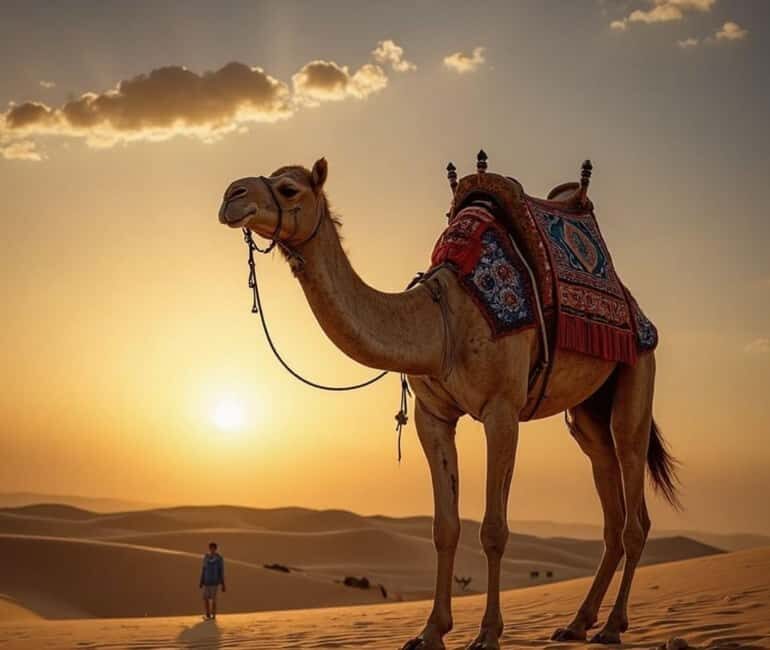 Desert Safari with Quad Bike, Camel Ride, and Sandboarding - Exploring the Desert: A Detailed Look