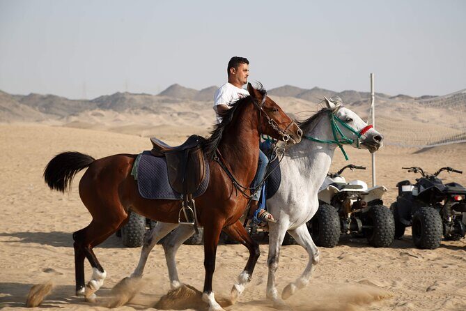 Desert Safari with Quad Bike Tours Jeddah - Who Is This Tour Best For?