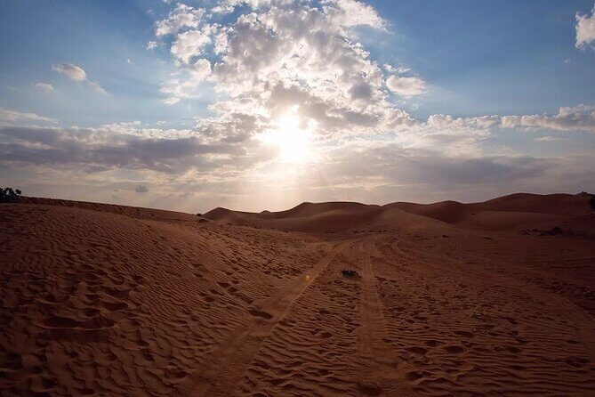 Desert Safari with Red Dune Buggy and Camel Ride Dubai - What Makes This Tour Stand Out?