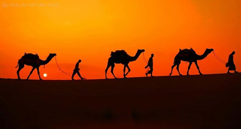 Desert Safari,Dune Bashing,Camel Ride,Sand Boarding, Sun Set - Exploring the Desert: An Adventure with Layers