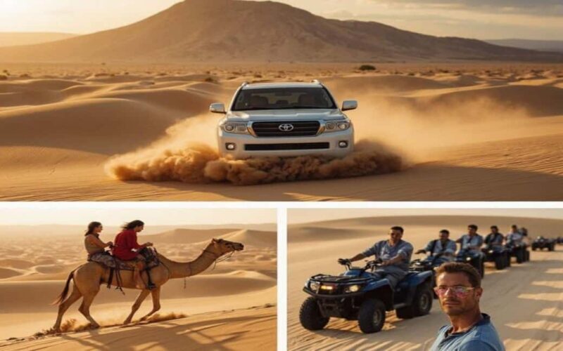 Desert Safari,Inland Sea Tour Including CamelRide & Transfer - What to Expect from the Desert Safari Experience