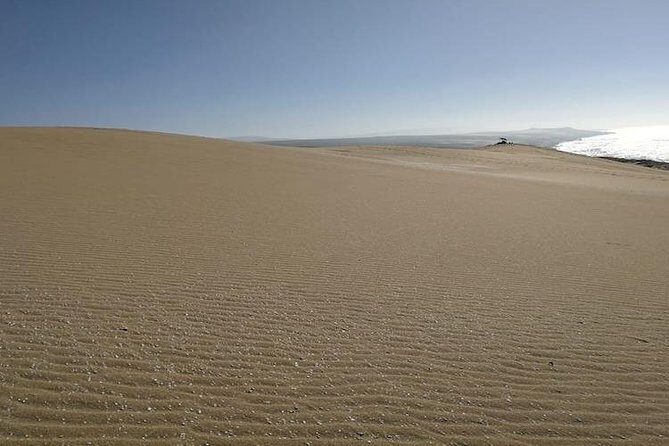 Desert Sahara Sand Dunes in Agadir - Is This Tour a Good Deal?
