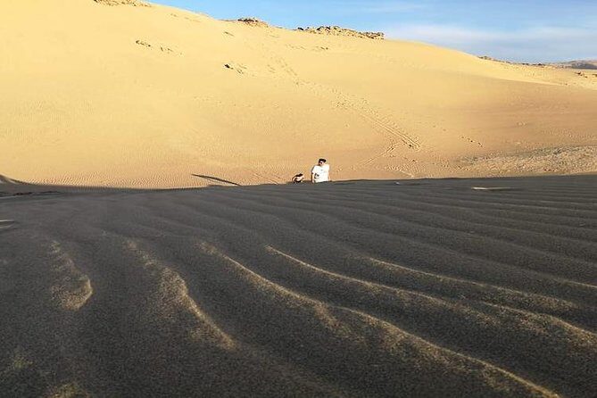 Desert Sahara Sand Dunes in Agadir - Who Should Consider This Tour?