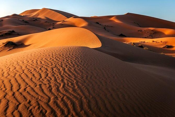 Desert Sand Boarding Tour from Agadir or taghazout - The Sum Up: Who Is This Tour Best For?