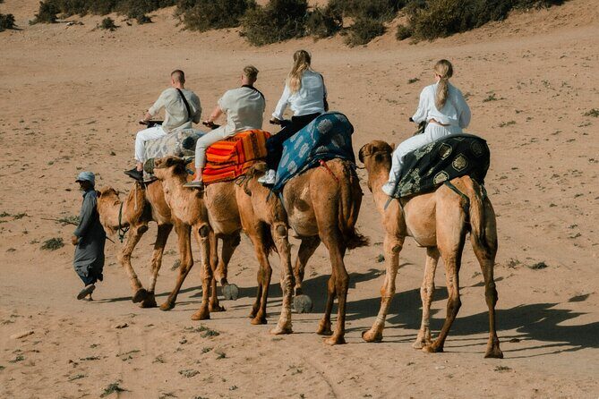 Desert Sandboarding Adventure From Agadir or Taghazout - Authenticity and Safety