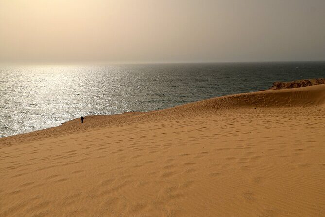 Desert Sandboarding Adventure From Agadir or Taghazout - Summary of the Experience