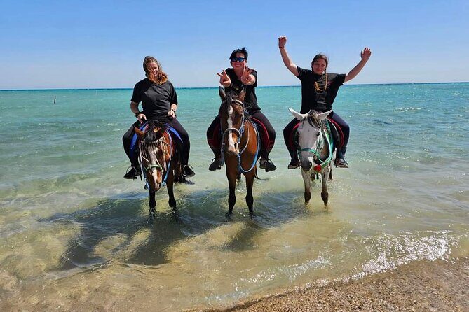 Desert & Sea Adventure 3-Hour Horse or Camel Riding Experience - Key Points