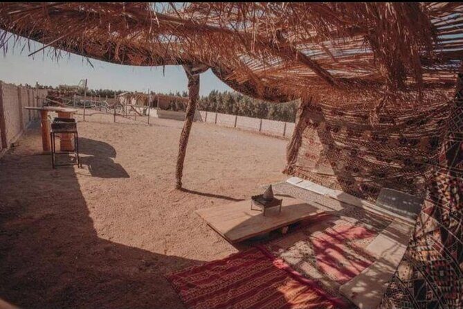 Desert & Sea Adventure 3-Hour Horse or Camel Riding Experience - Who Should Consider This Tour?