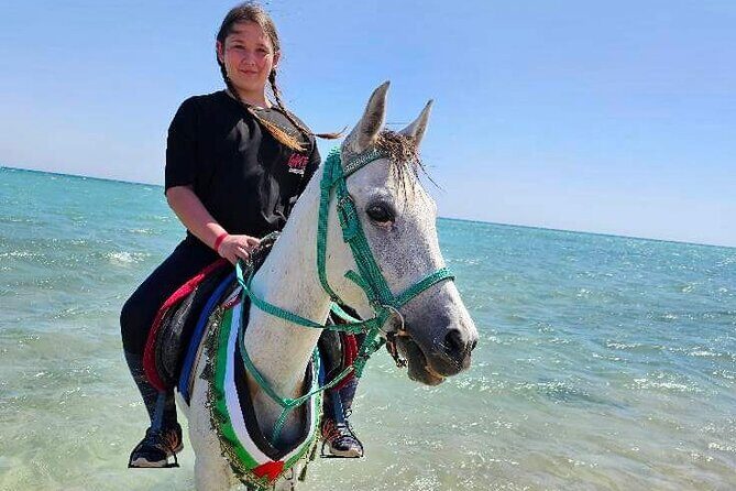 Desert & Sea Adventure 3-Hour Horse or Camel Riding Experience - The Sum Up