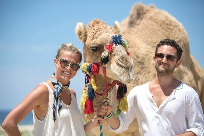 Desert & sea, Camel Safari tour in Los Cabos with lunch - Key Points