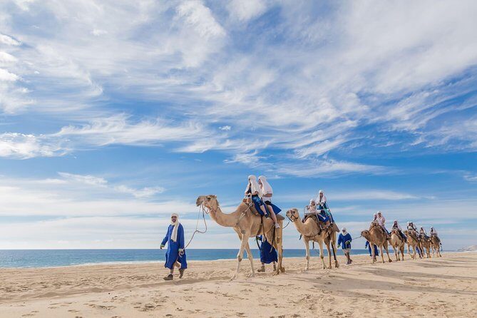 Desert & sea, Camel Safari tour in Los Cabos with lunch - A Detailed Look at the Camel Safari Experience in Los Cabos