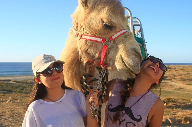 Desert & sea, Camel Safari tour in Los Cabos with lunch - Practical Details: What You Need to Know