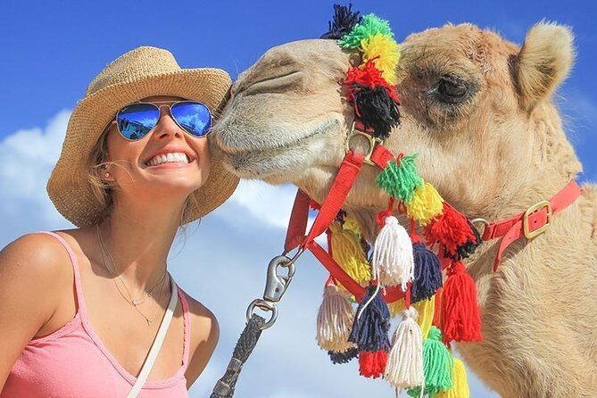 Desert & sea, Camel Safari tour in Los Cabos with lunch - The Bottom Line: Who Will Love This Tour?