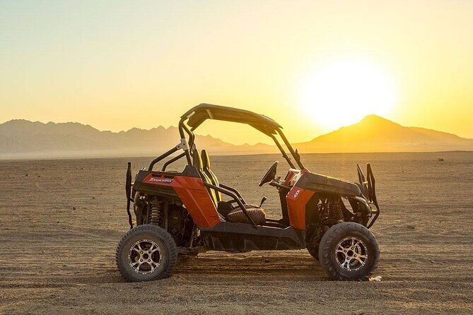 Desert Spider Car Buggy Experience With Transfer - Marsa Alam - Who Should Consider This Tour?