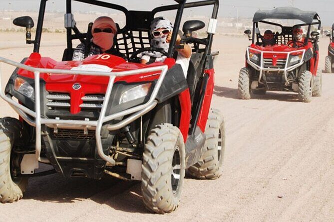 Desert Spider Car Buggy Experience With Transfer - Marsa Alam - The Sum Up: Who Will Love This Experience?