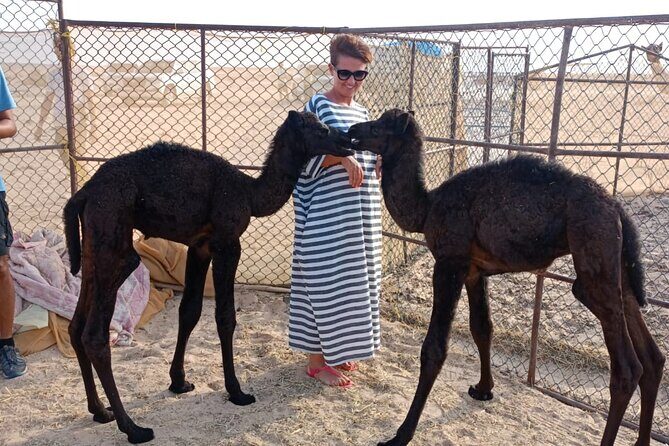 Desert Sunset Tour VisitSalalah - An In-Depth Look at the Desert Sunset Tour
