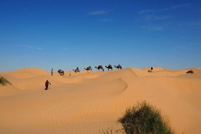 Desert tours and adventurous camel trekking through the Sahara - An In-Depth Look at the Desert Adventure