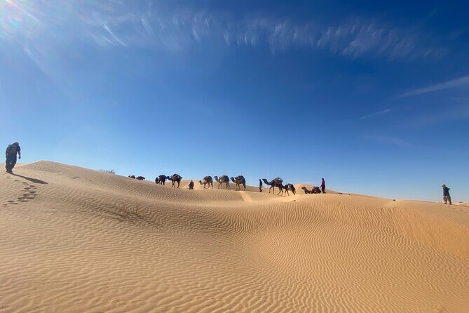 Desert tours and adventurous camel trekking through the Sahara - What We Think: The Value and Experience
