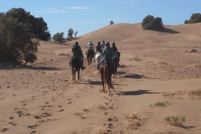 Desert Trail in Morocco on Horseback - What’s Included and What to Expect