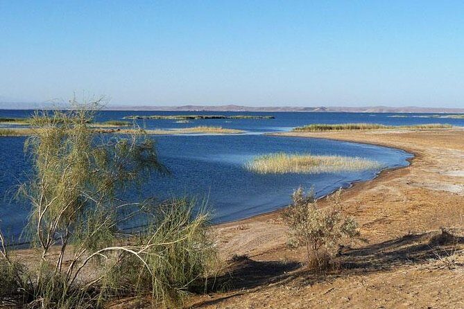 Desert Yurt Camp tour - 2 days (shared) - Practical Tips for Travelers