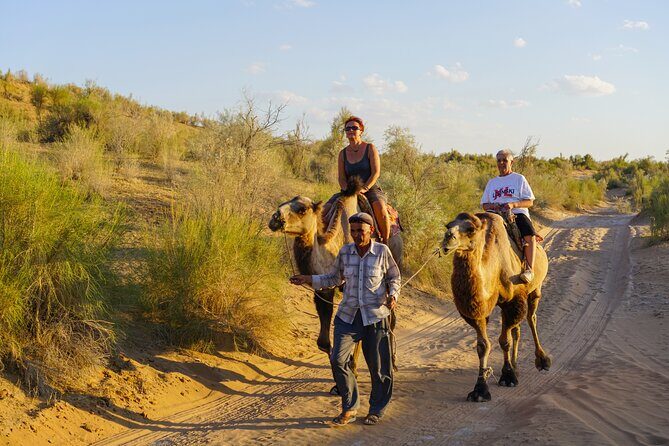 Desert Yurt Camp tour - 2 days (shared) - Frequently Asked Questions